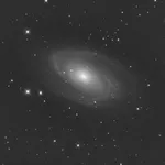 m81